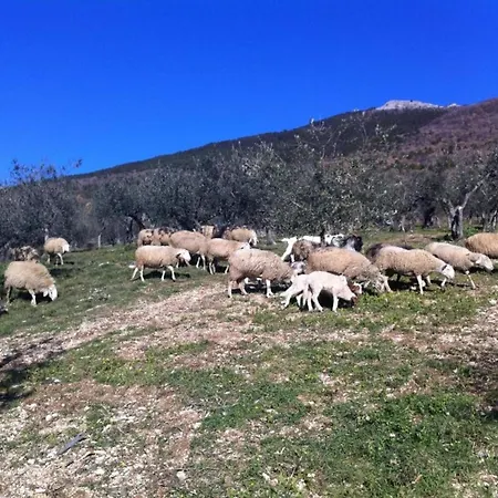 Umbrian Charm With Pool Alfresco Delight 아파트 콜라조네